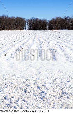 Agricultural fileds in Quebec province, Canada.  Ploughed land with furrows covered in snow, with blue sky background. Winder scene. 