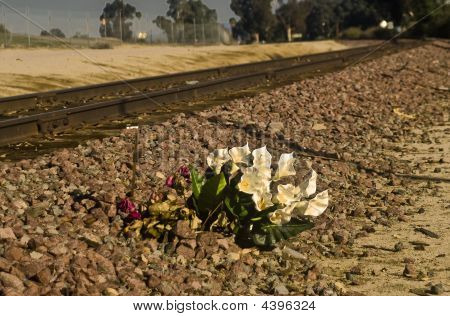 Jordbaserede Memorial