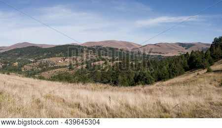 Mountain Landscape In The Village Of Dobroselica On The Mountain Zlatibor In Serbia