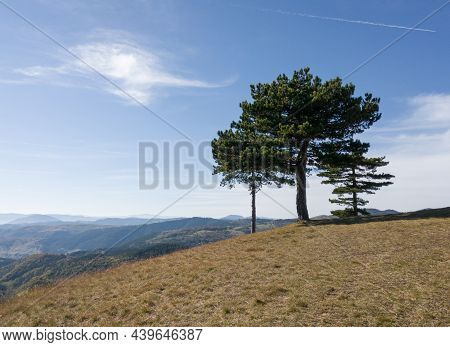 Mountain Landscape In The Village Of Dobroselica On The Mountain Zlatibor In Serbia
