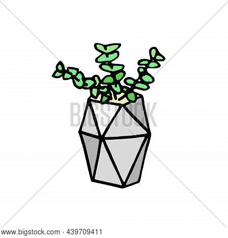 Succulent Doodle Print. Home Plants In Modern Flowerpot