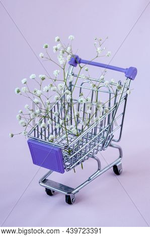 White Small Flowers Of Gypsophila Paniculata (gypsophila Paniculata) In An Iron Grocery Cart On A Pi