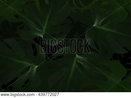 Dark Background With Tropical Leafs - Colored Illustration With Dense Vegetation, Vector