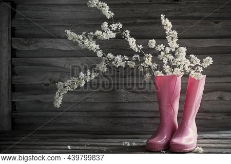 Cherry Flowers In Pink Rainboots On Old Wooden Background