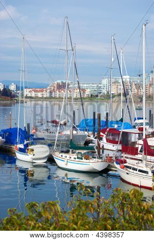 Yachts Bay.