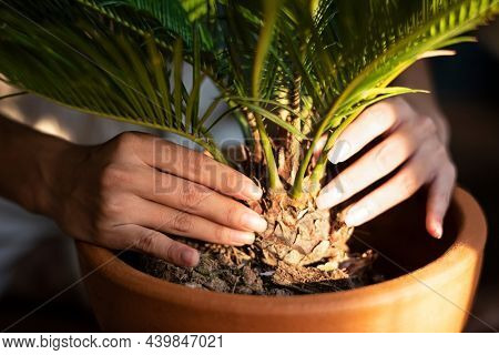 Woman repotting plants in the new normal