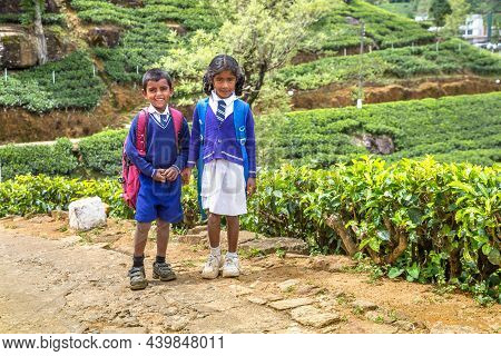 Nuwara Eliya, Sri Lanka - February 15, 2020:  Boy And Girl Schoolchildren At Thetea Plantations In N