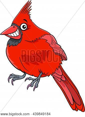 Cartoon Illustration Of Funny Northern Red Cardinal Bird Animal Character