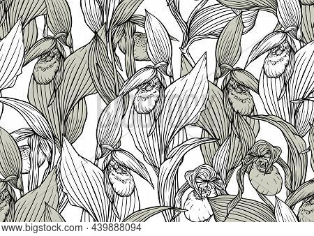 Ladys Slipper Orchid, Cypripedioideae, Seamless Pattern, Background. Outline Vector Illustration. In