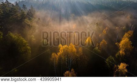 Aerial View On Autumn Forest In Morning Light During Sunrise. Foggy Forest In The Morning Mist