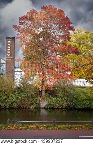 13 November 2021, Leiden, Netherlands, Facade Of Greenhouse Of The Hortus Botanicus In Leiden. This 