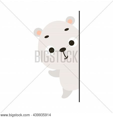 Cute Little Polar Bear Peeking Around The Corner On White Background. Cartoon Animal Character For K
