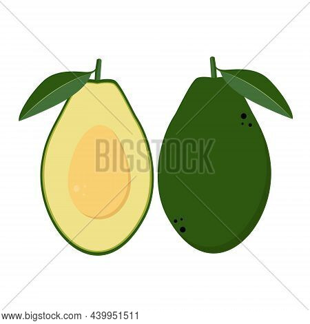 Vector Avocado Icons Isolated On White Background.
