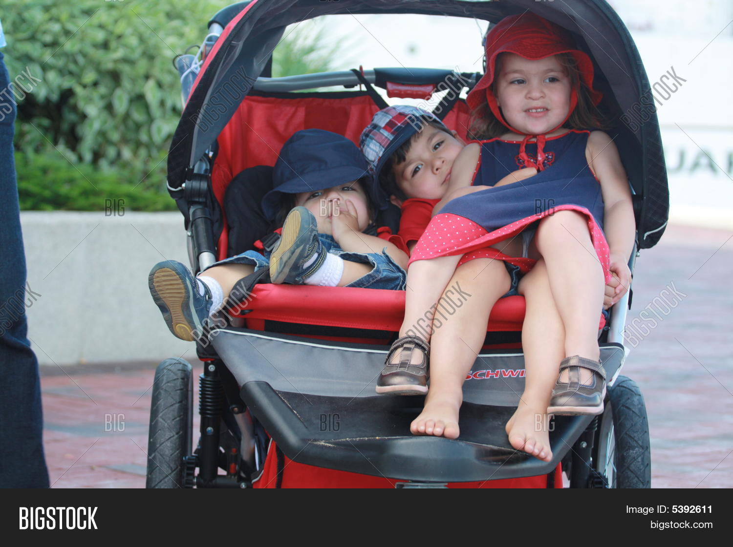 Three Kids Stroller Image & Photo (Free Trial) Bigstock