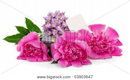 Pink peonies, the gift box decorated with ribbon