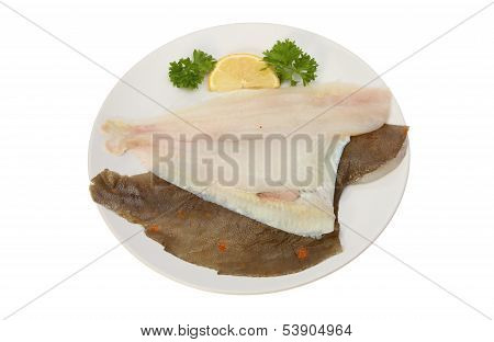 Plaice Fillets