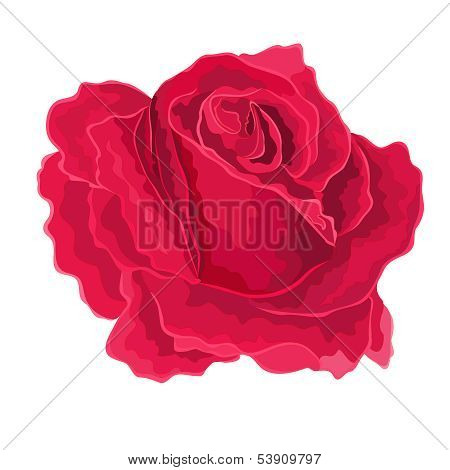 Roses Red, Simple.eps