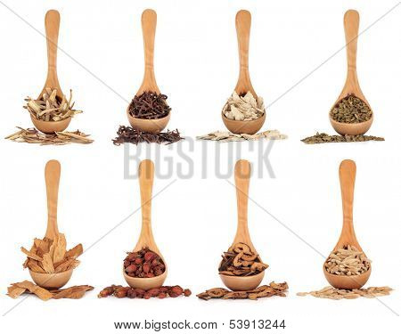 Chinese herbal medicine ingredients in olive wood spoons over white background.