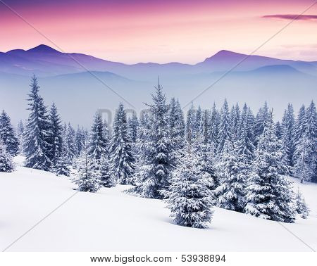 Fantastic evening winter landscape. Dramatic overcast sky. Creative collage. Beauty world.