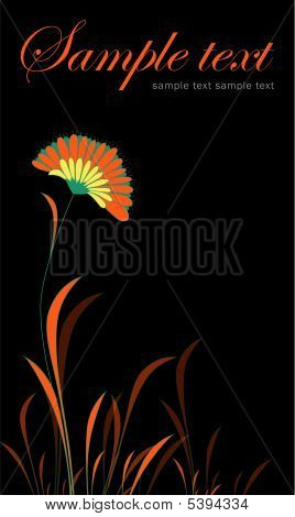 Blume