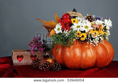 Beautiful autumn composition in pumpkin with bumps and decorative box on table on gray background