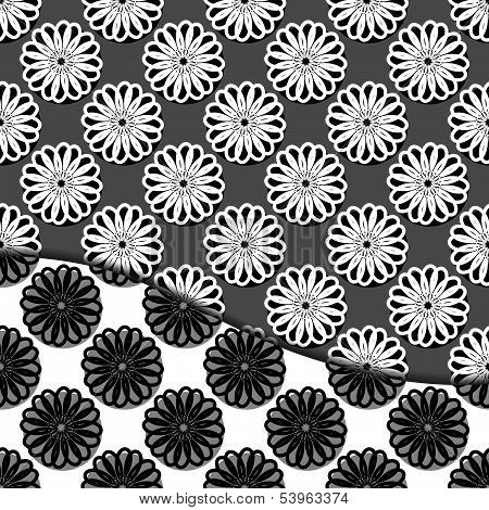 Background / Greeting cards with flowers