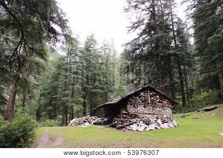 House In Pinewood