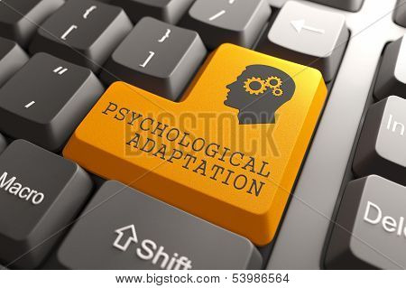 Psichological Adaptation Orange Button.