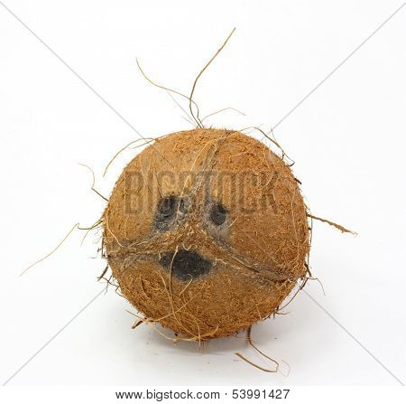 smiling coconut on white