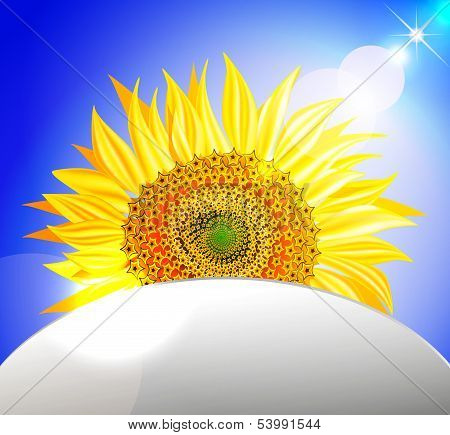background with sunflower over blue sky