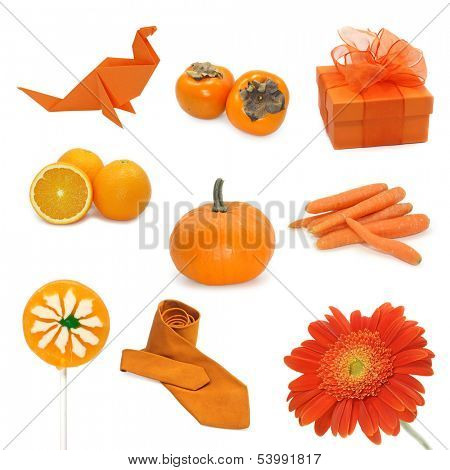 Learn colors.Collection of orange images.