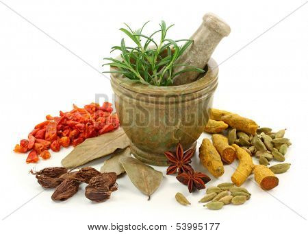 Mortar with fresh rosemary and dried spices isolated on white background