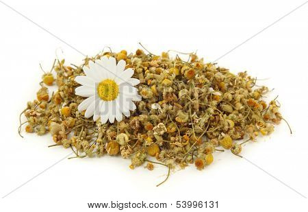 Dried chamomile tea isolated on white background