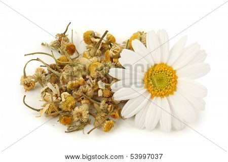 Dried chamomile tea isolated on white background