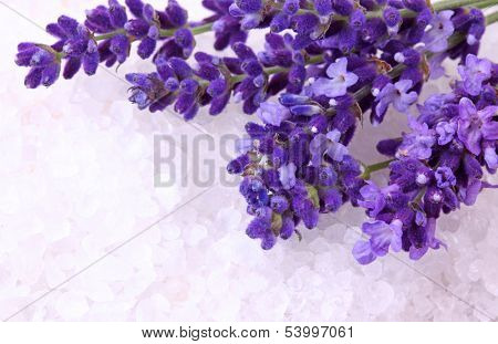 Fresh lavender and bath salt