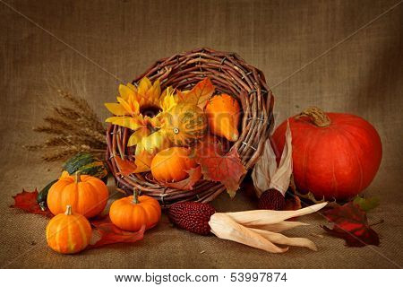 Cornucopia with pumpkins on brown background