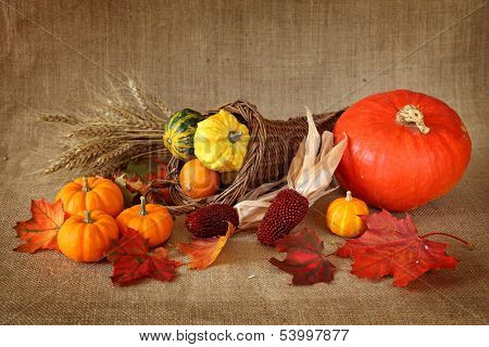 Cornucopia with pumpkins on brown background