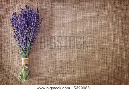 Bunch of dried lavender flowers on brown background
