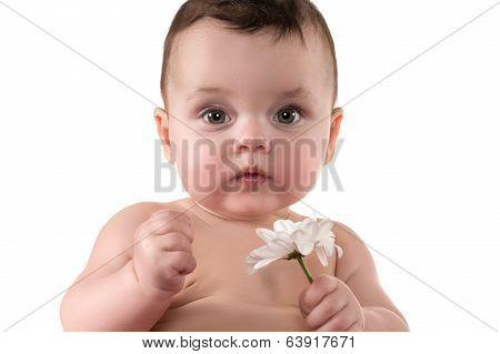 Cute baby with flower on the white background