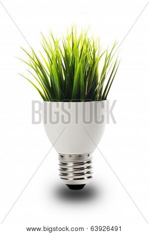 bulb with grass