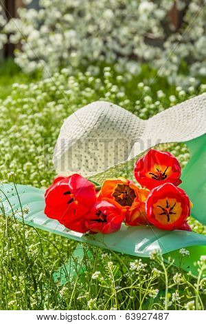 Relax In The Garden In A Spring Day