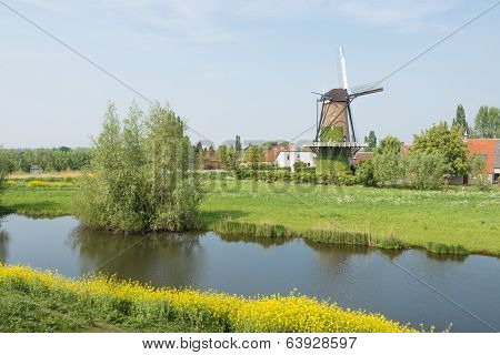 Dutch Windmill In The Spring Season