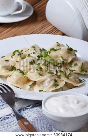 Delicious Dumplings With Sour Cream And Gerbs
