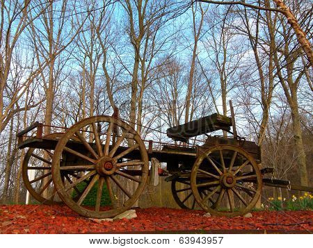 Buckboard Wagon