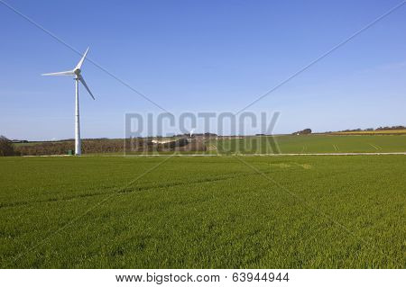 Wind Turbine And Wheat