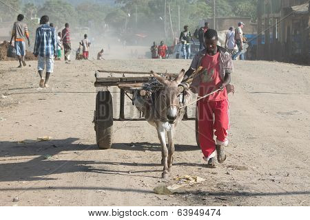 Man With A Cart