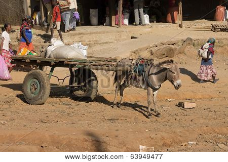 Donkey With A Cart