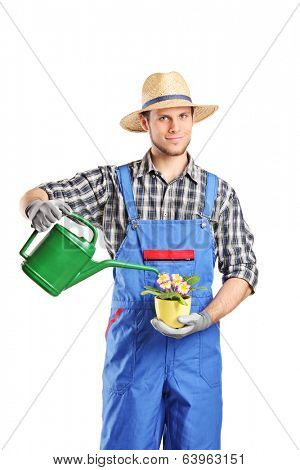 Male horticulturist watering a plant isolated on white background