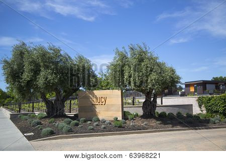 Lucy restaurant at Bardessono Hotel in Napa Valley