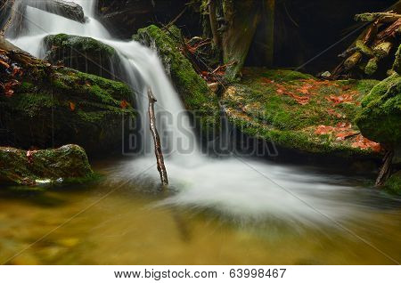 alpine stream
